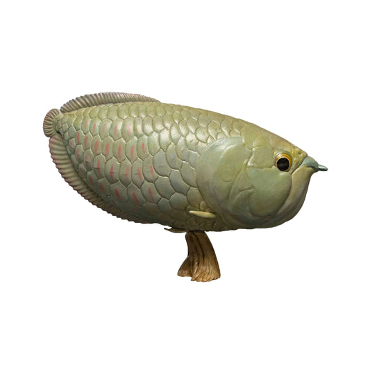 Shortbody Silver Arowana Toy