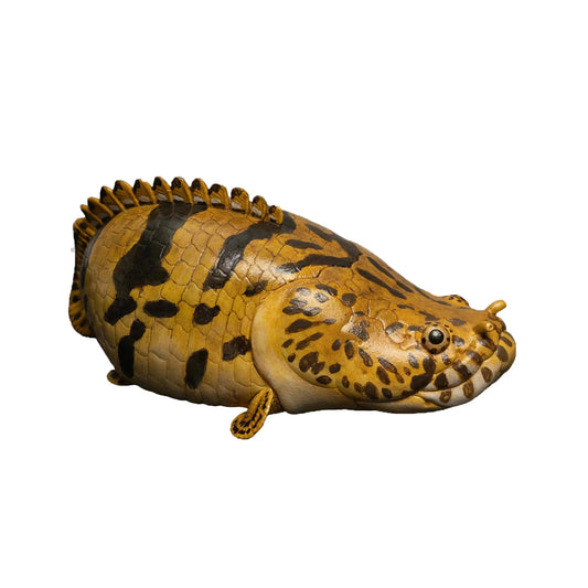 Shortbody Bichir Toy